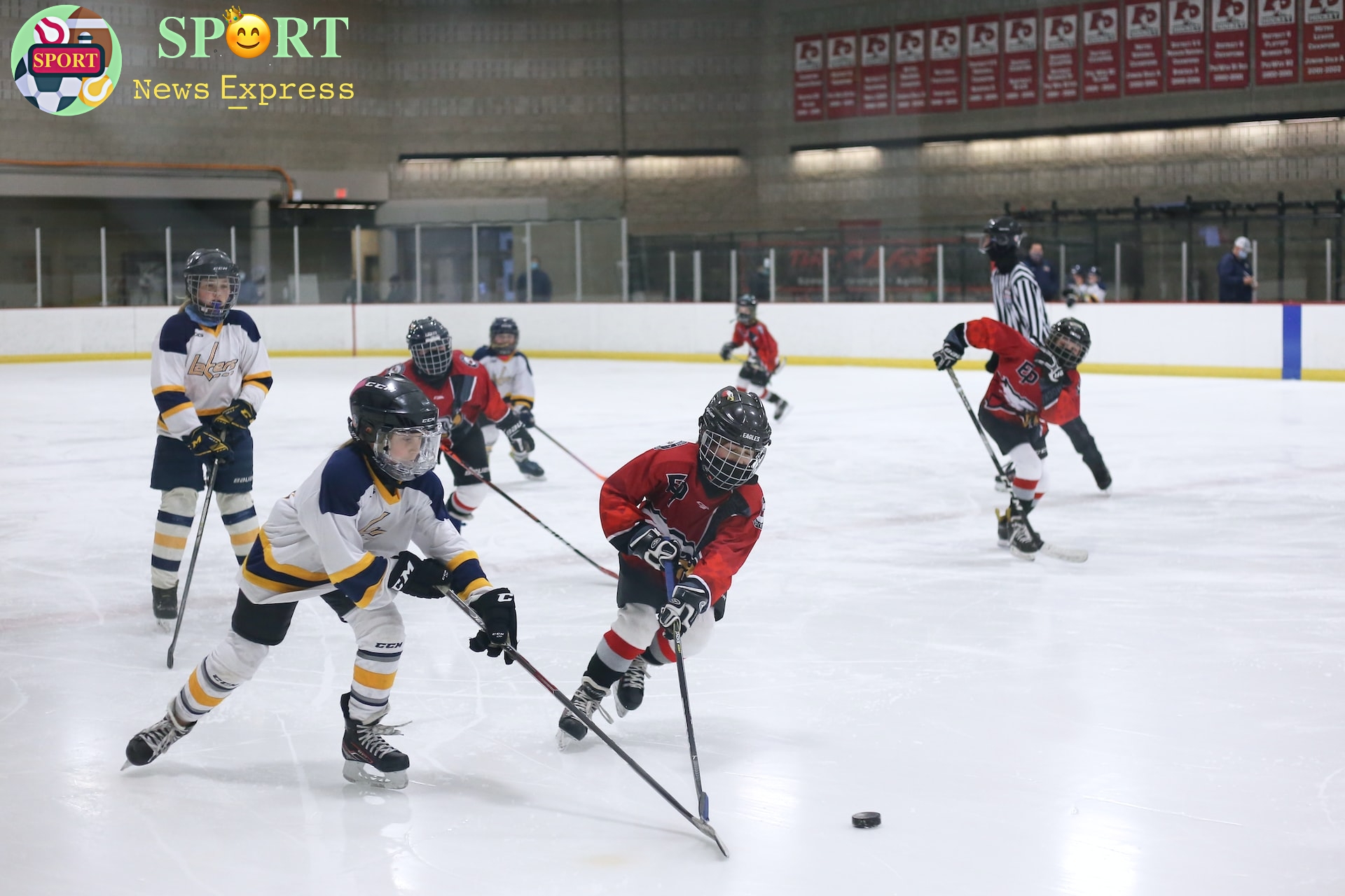 Ice Hokey